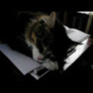 Meet your Posher, B. m.